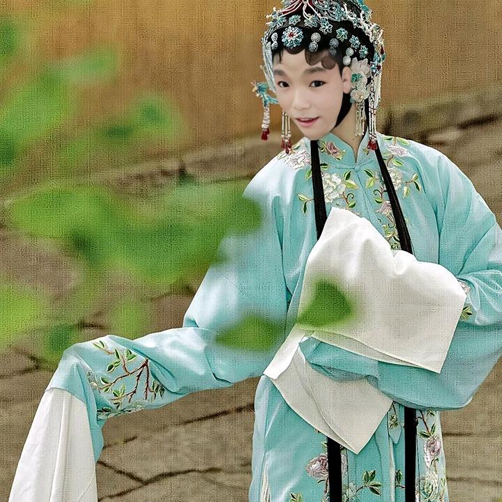戏曲爱好者(追戏)头像