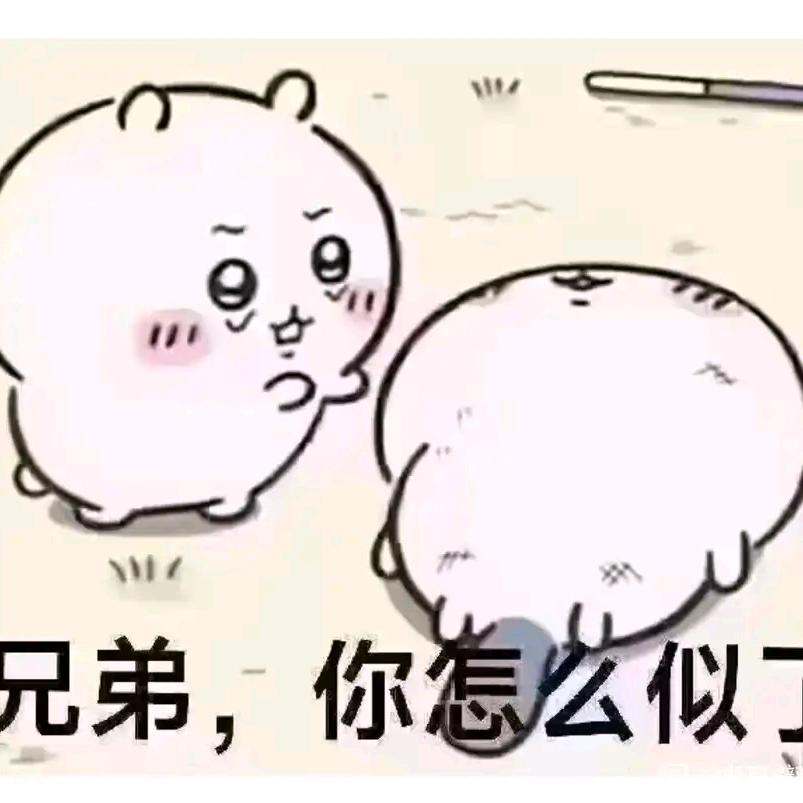 卖女孩的小饼干丶