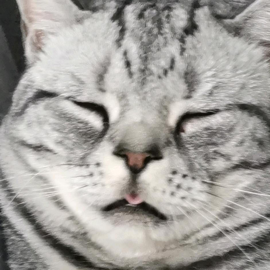 三儿