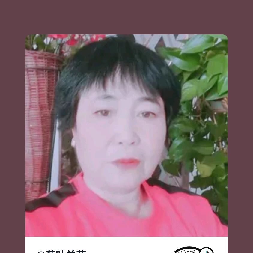 荷叶兰花