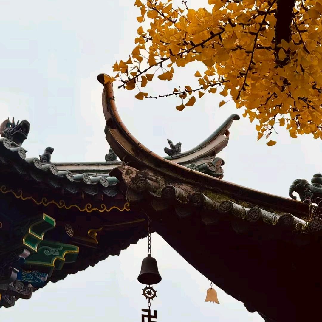 玄黄玄毅