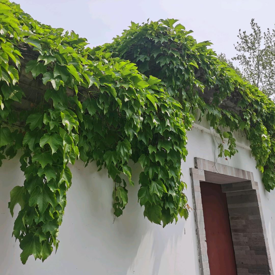 不二斋闲话