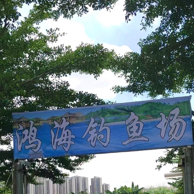 中山鸿海钓鱼场…纯鲫鱼