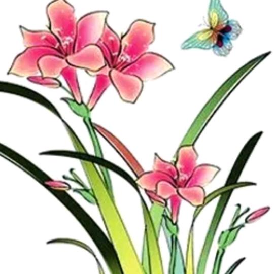 雅兰