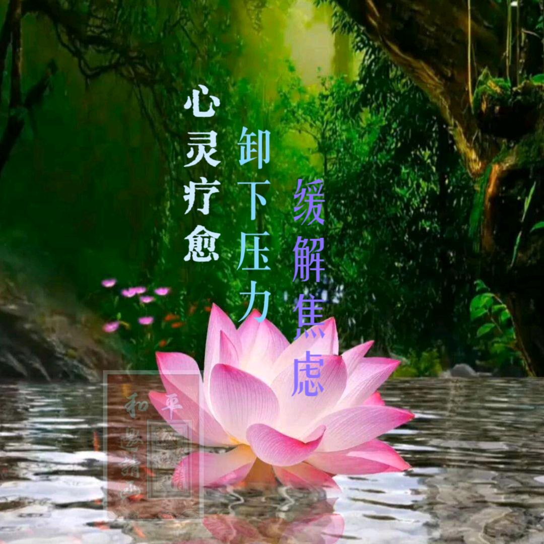 🍁韵