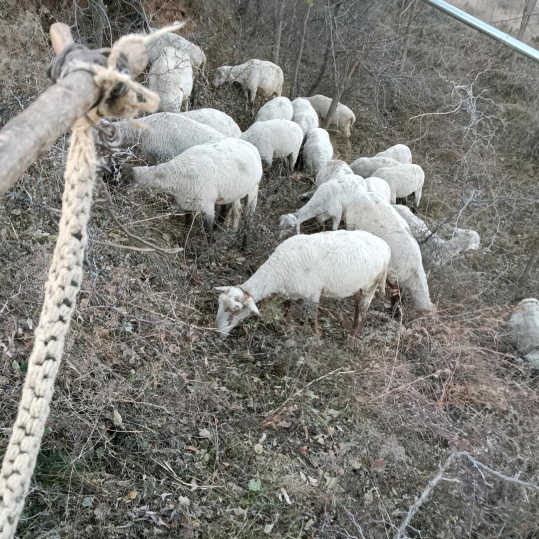 苏家沟威风女子锣鼓队