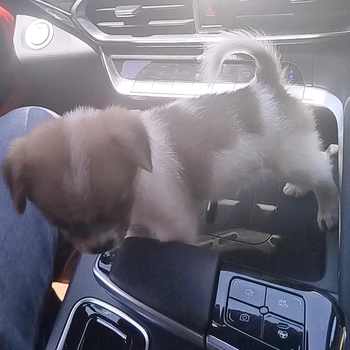 ♡♡♡浪迹天涯🍭🍭🍭