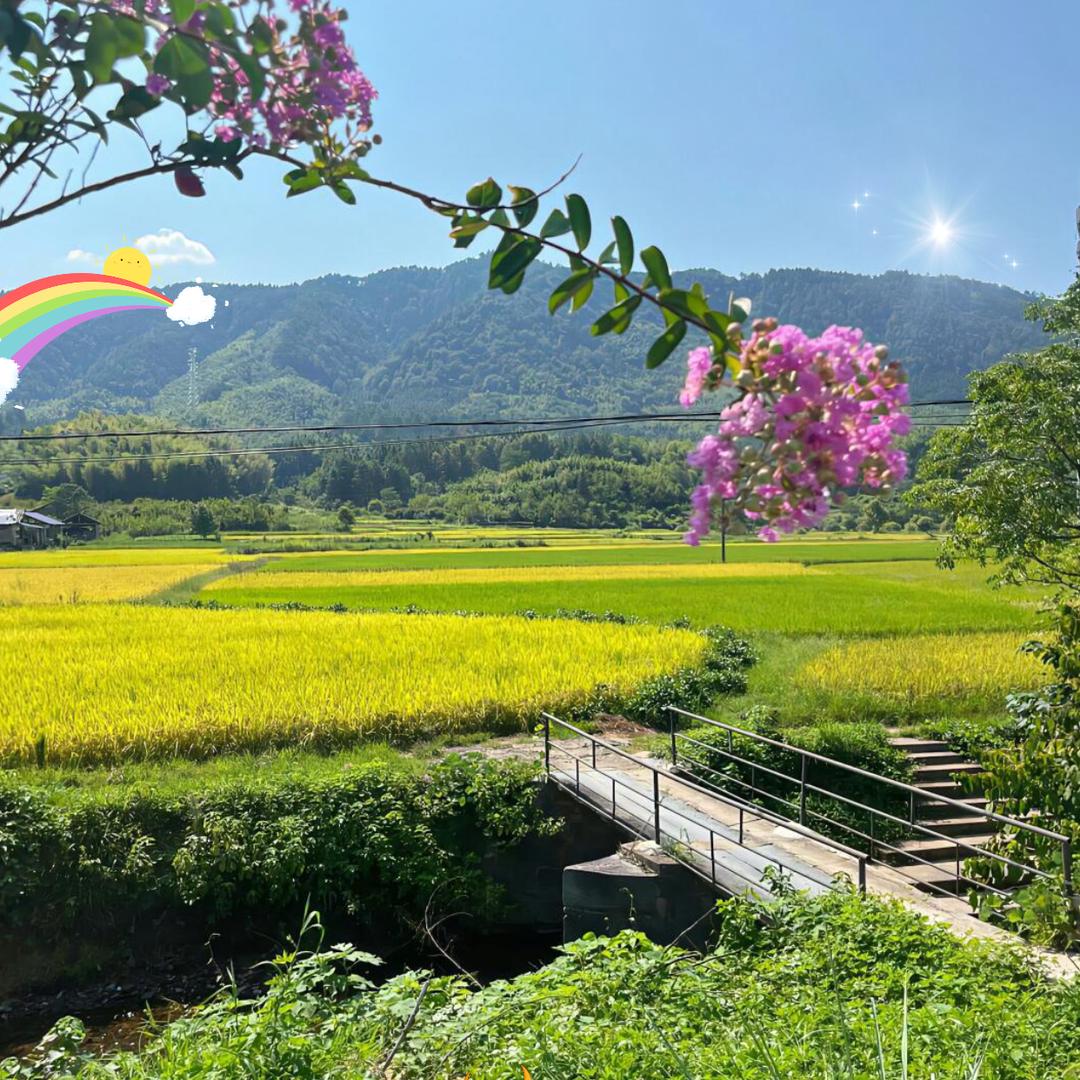 欣欣好物