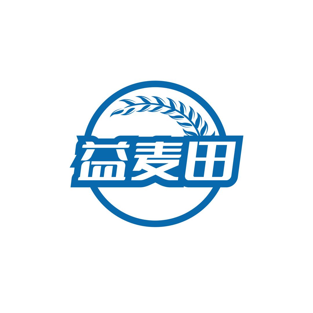益麦田冰麦面粉