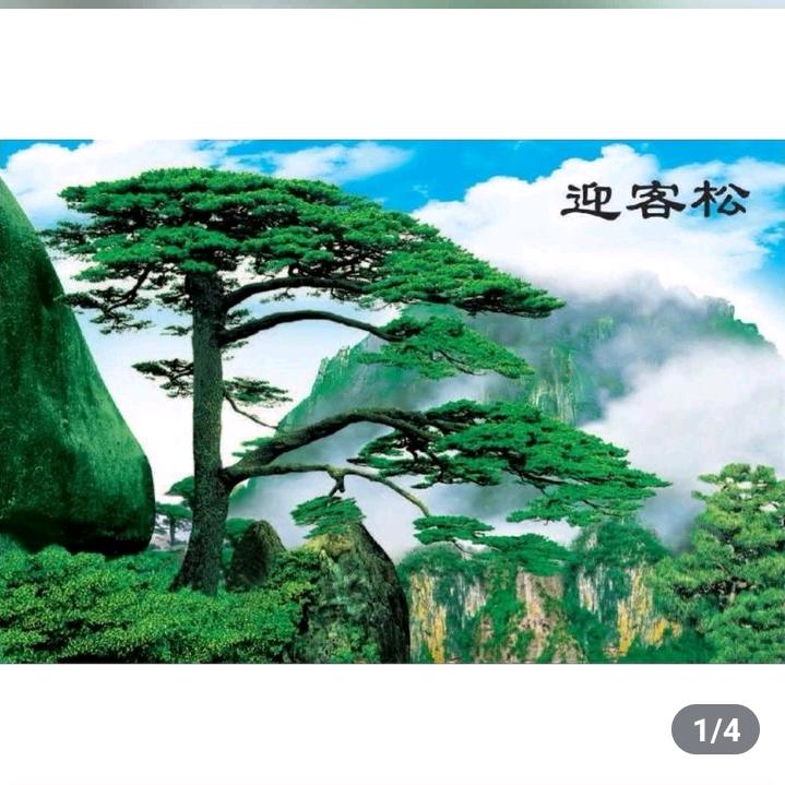 酒哥：