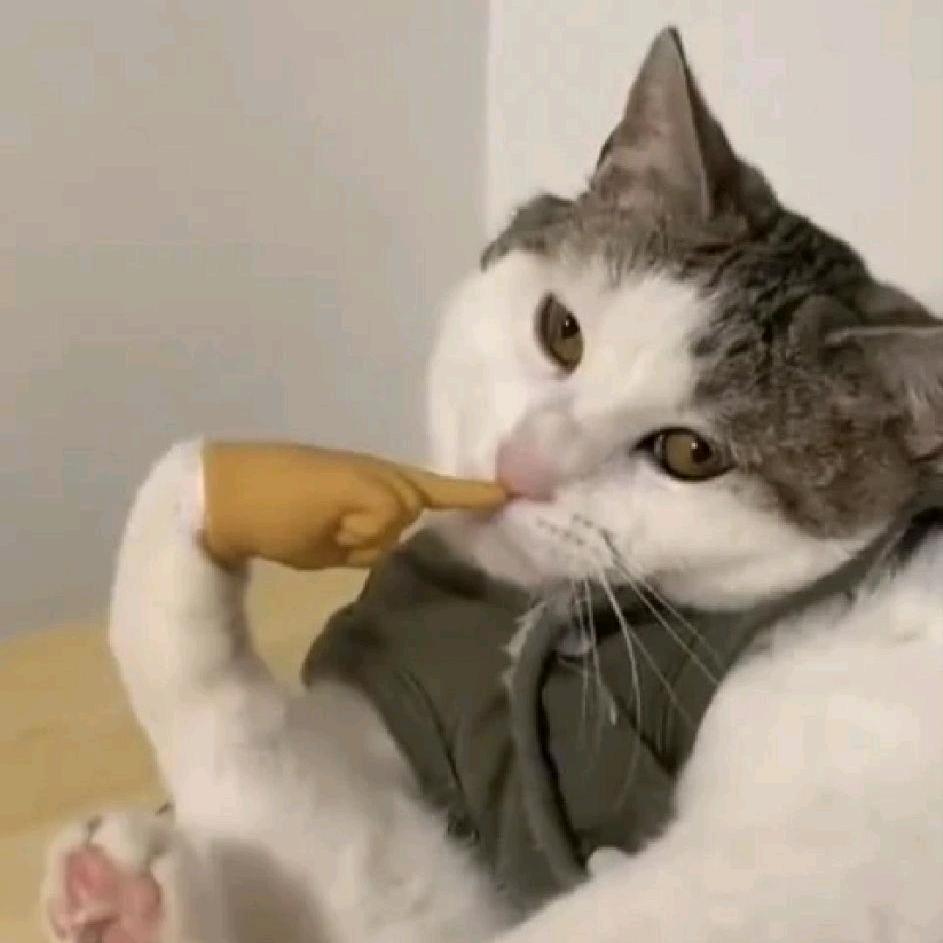 ～(￣▽￣～)~！