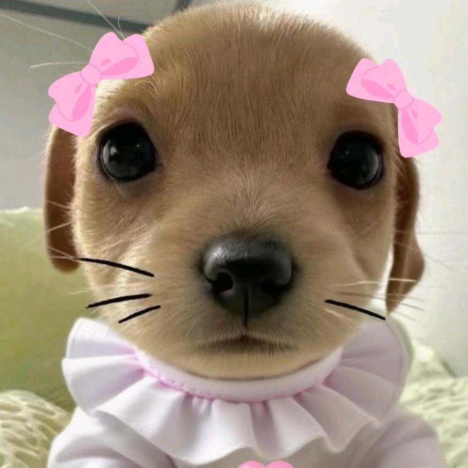 小鹿..