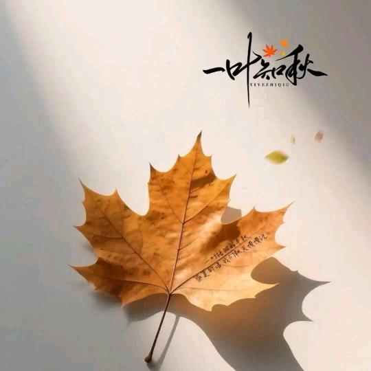 🍁℘᭄叶落*᭄无声