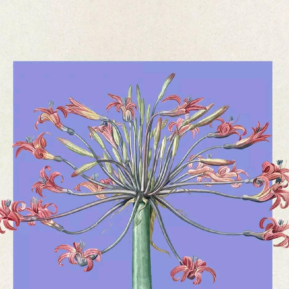 蒲洪林《机车爱好者》