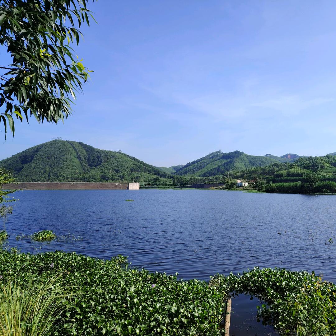 顺风哥
