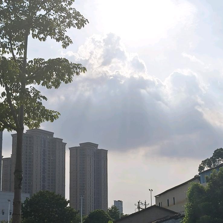 小許同学💤