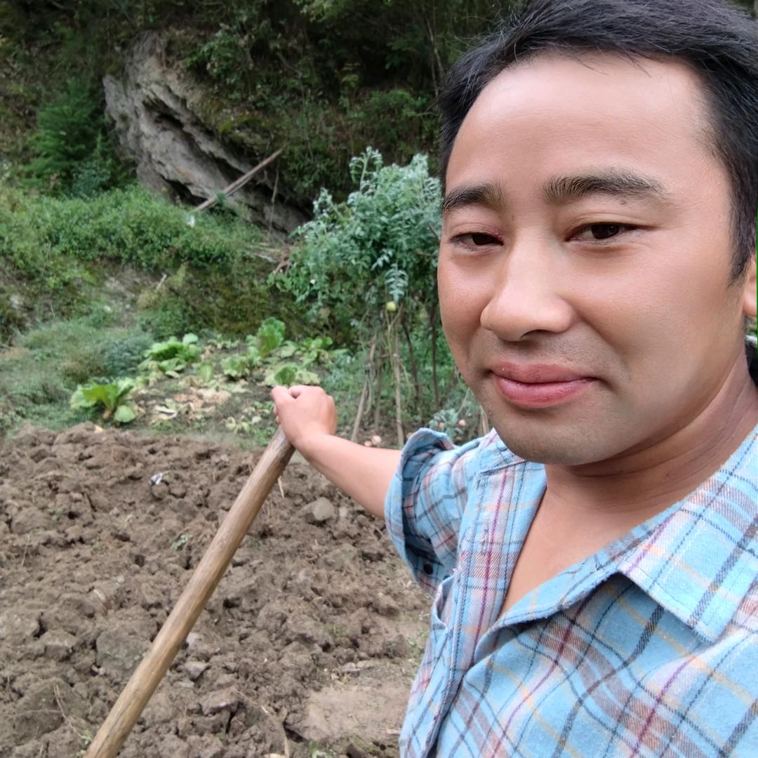 小都都