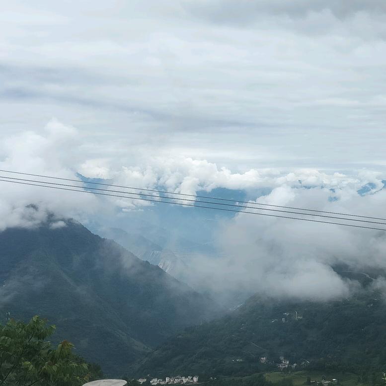 伤不起的爱情伤不起的你