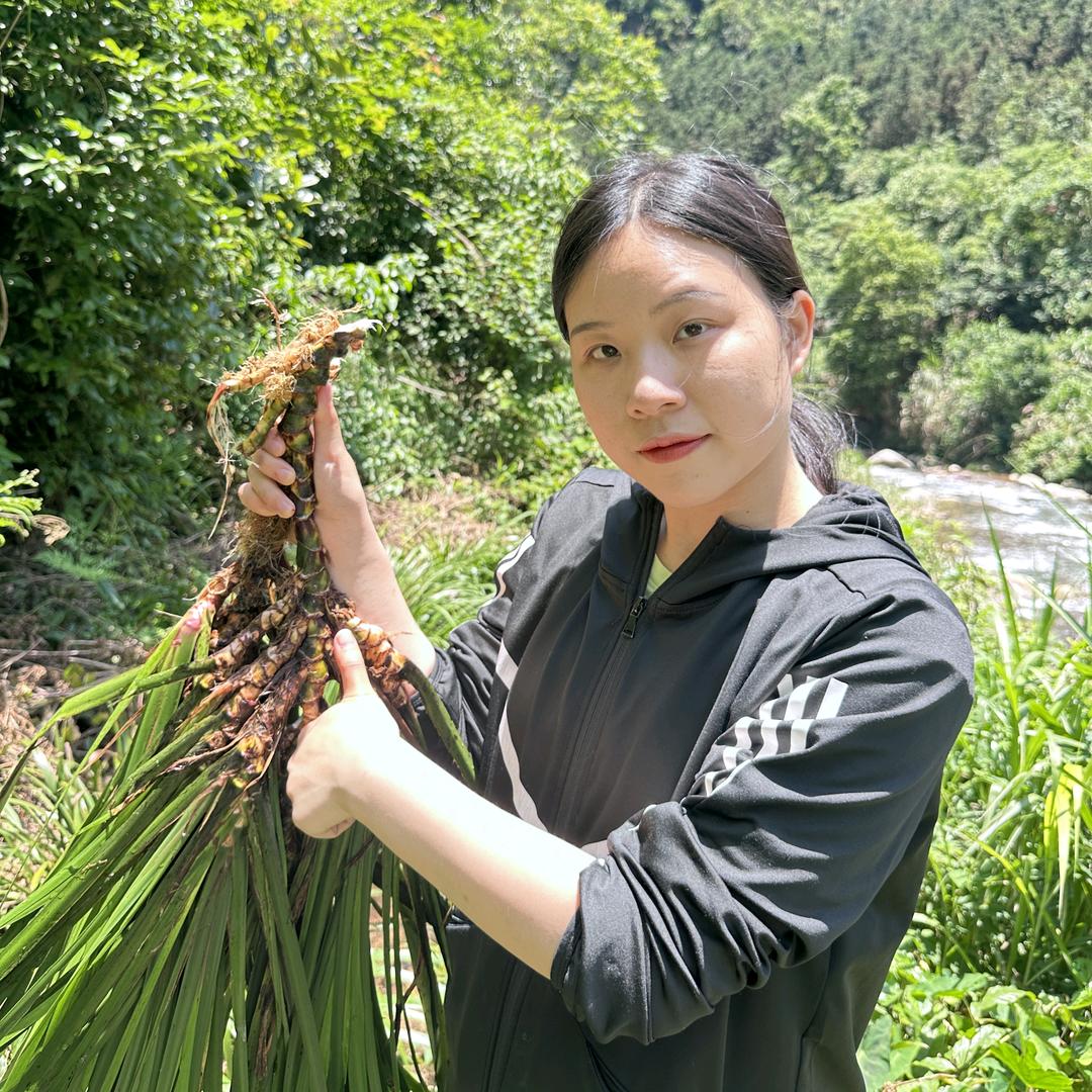 乌石生态农业