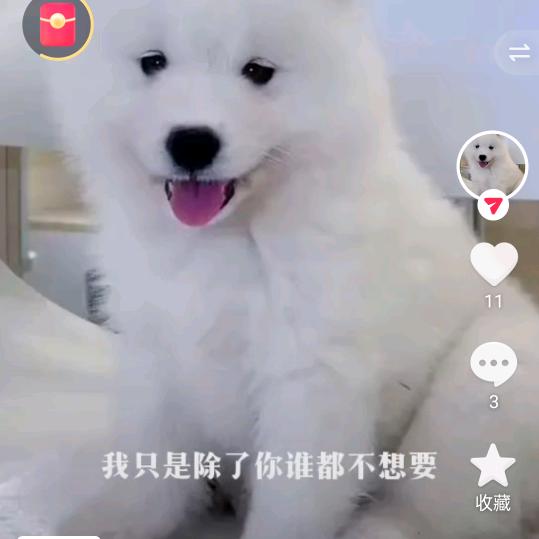 郭不美