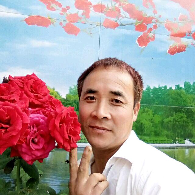 孤单的小鷬鹂