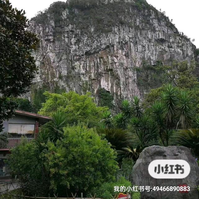 陶醉