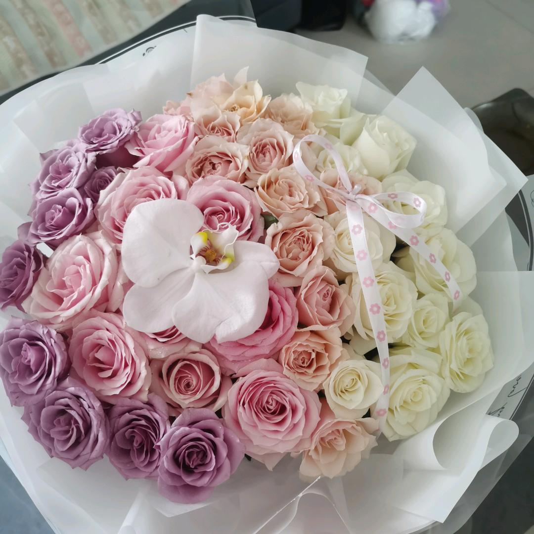 牵着蜗牛去散步