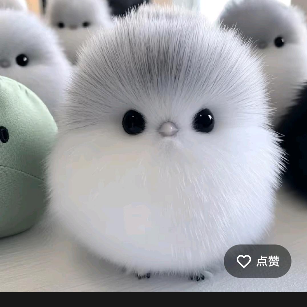 南侠展昭