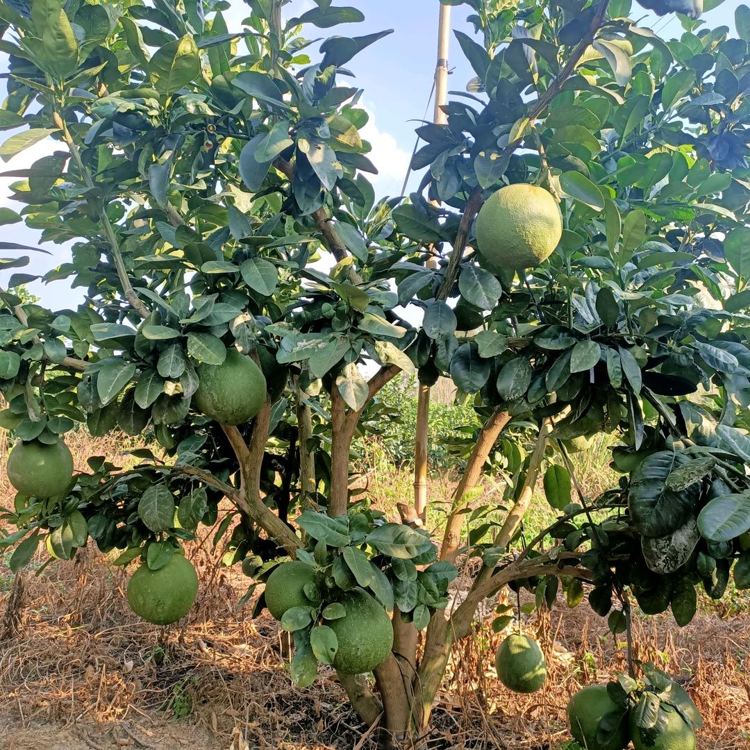 知足常乐 ̋(๑˃́ꇴ˂̀๑)