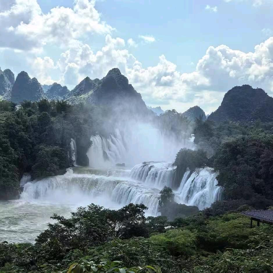 升学指导李老师