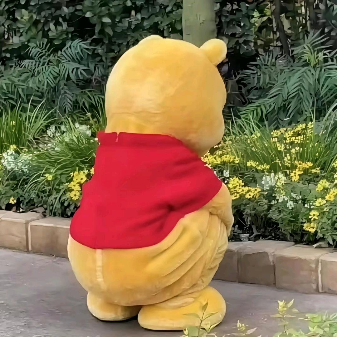 西红柿加花生🍅🥜（互关版）