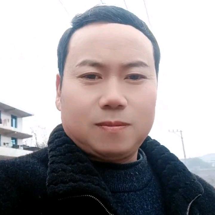 刘只能