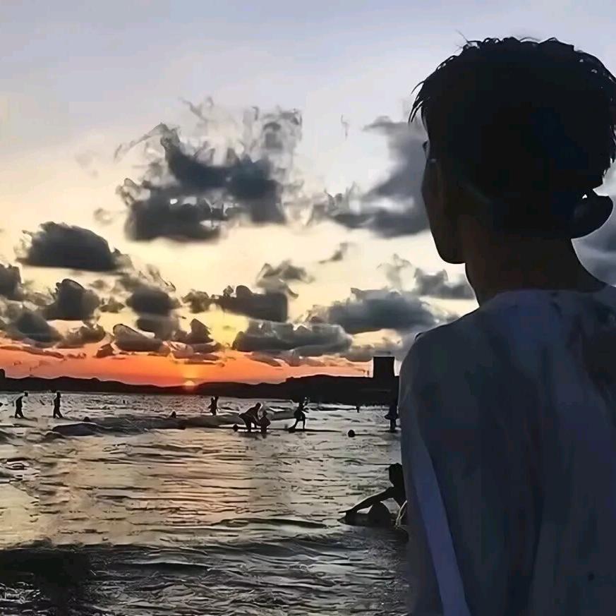 C宋燃燃燃燃