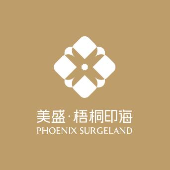 深圳美盛梧桐印海