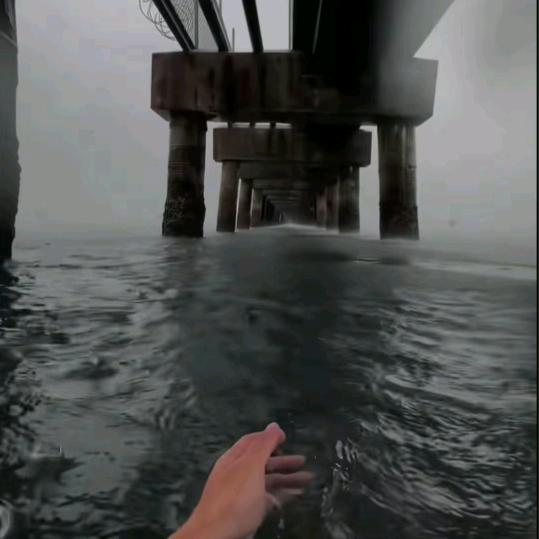 跟风流浪