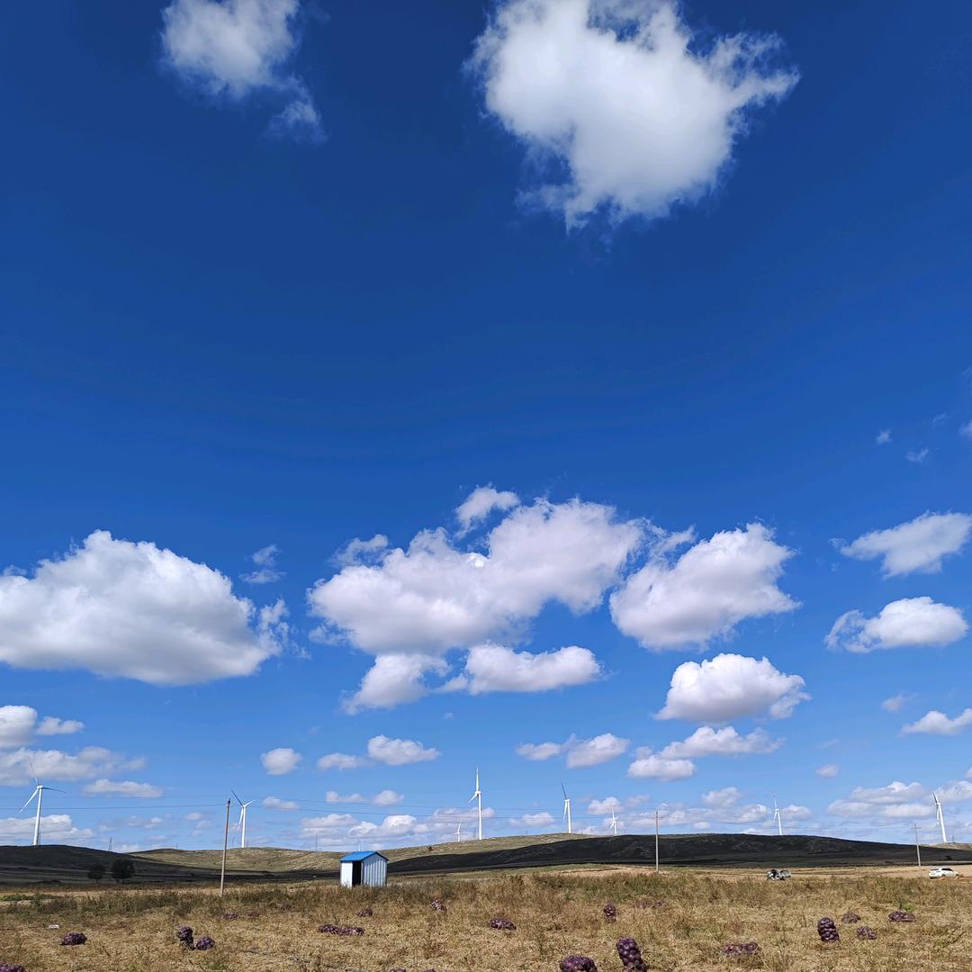 青州永辉农业杨林兴