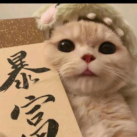 萌宠宠物乐园