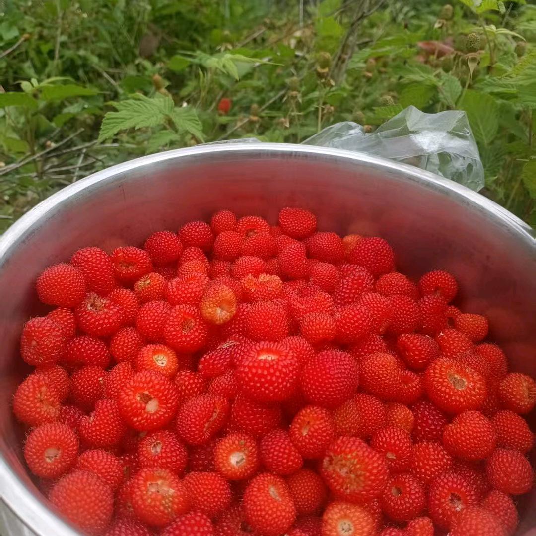 平安喜乐(. ❛ ᴗ ❛.)