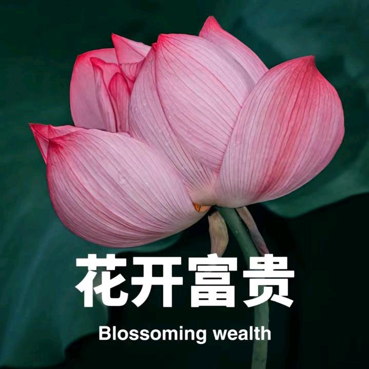 花开富贵10086
