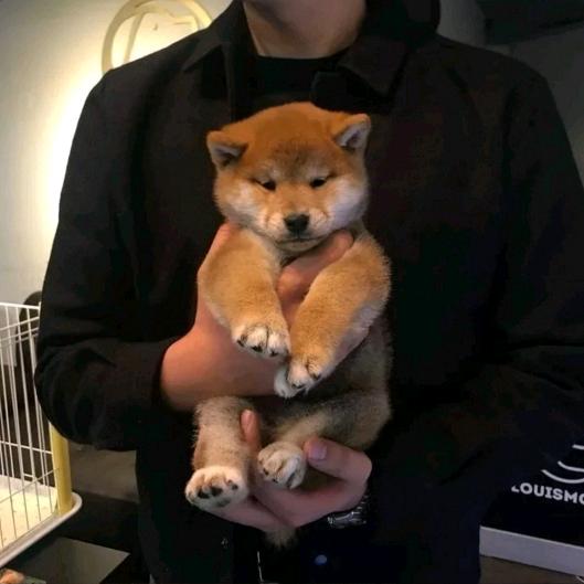 ୧⍤⃝逆风行ꦿ࿐