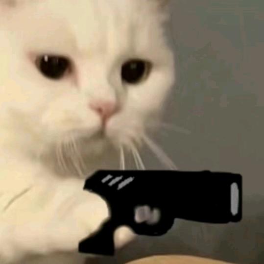 机器猫