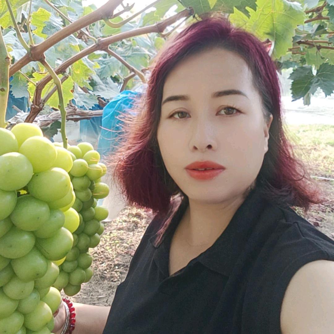 史恩庄阳光玫瑰