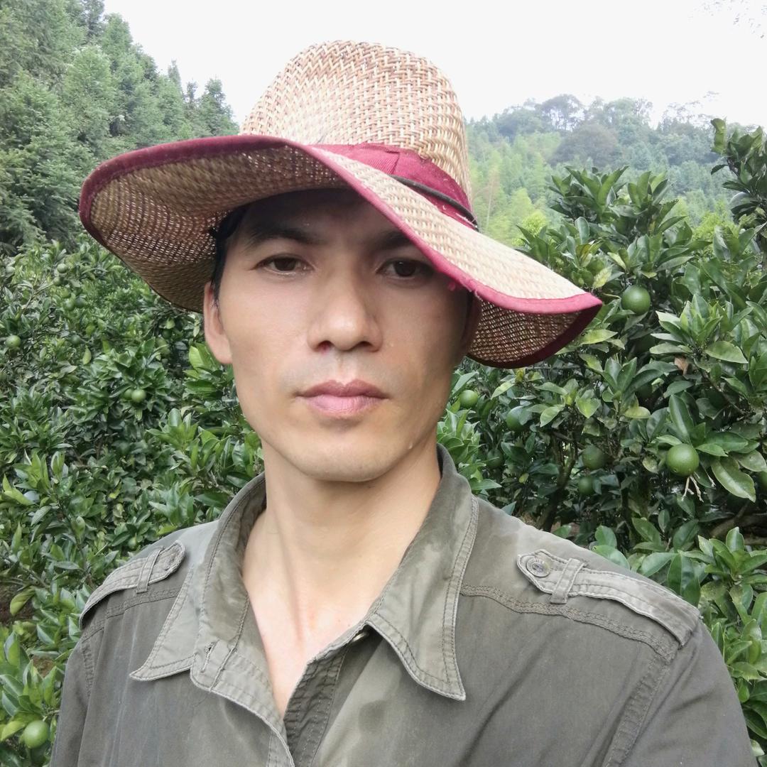 林哥  顺昌农场米老鼠