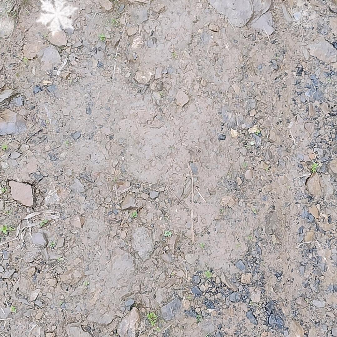 余家老大