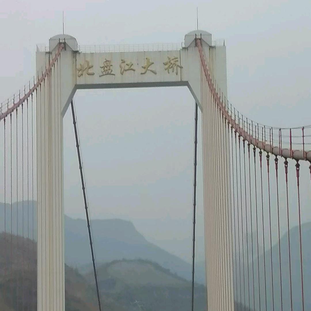 陈姐