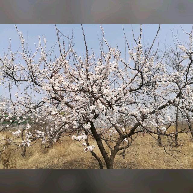 你熬不熬 夜就在那里