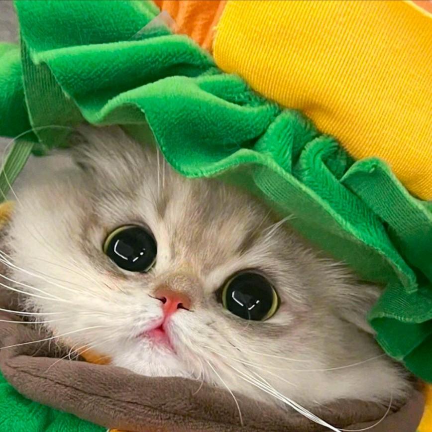 蜡笔小鑫鑫http://