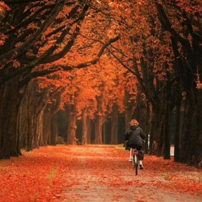 猪猪侠《变身中》