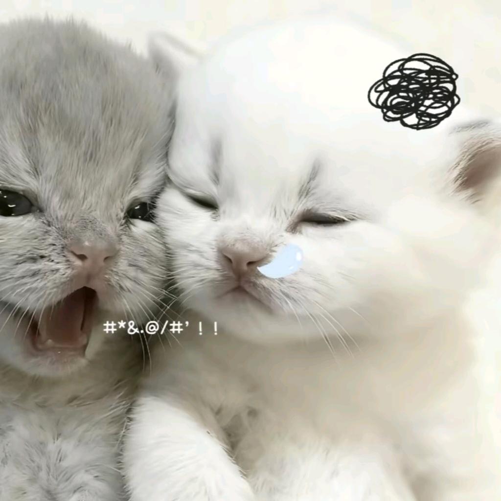 祁然