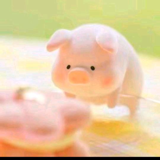 被窝里的小土豆🥔